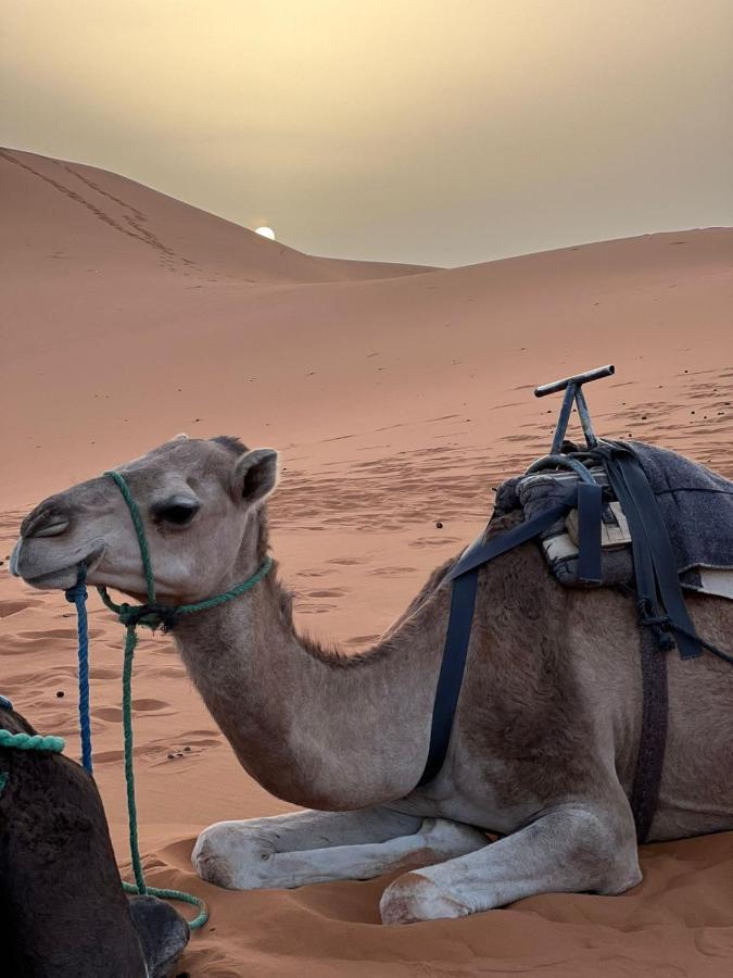 Riad Aicha & Camel Trekking Merzouga Exteriér fotografie
