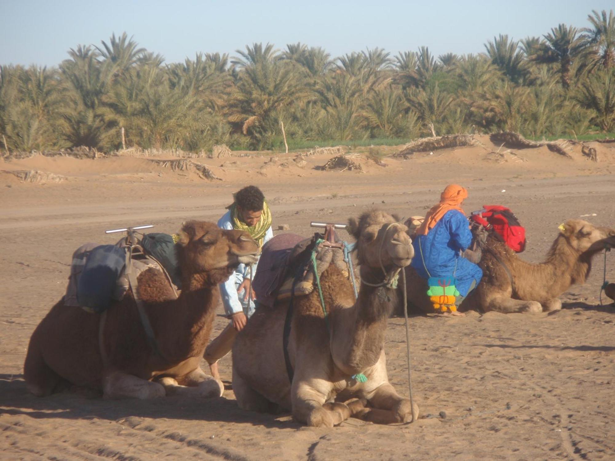 Hotel Riad Aicha & Camel Trekking Merzouga Exteriér fotografie