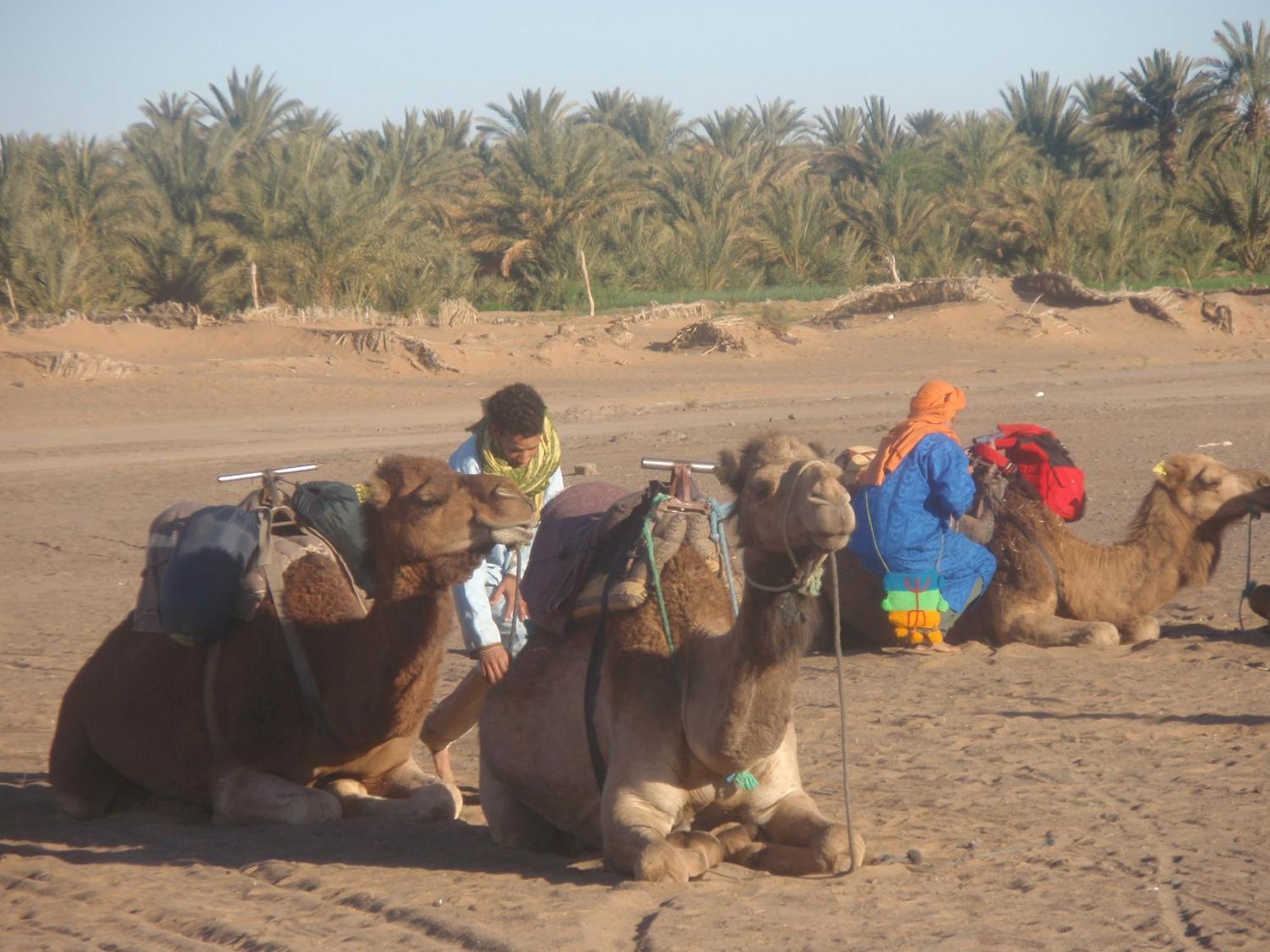 Riad Aicha & Camel Trekking Merzouga Exteriér fotografie