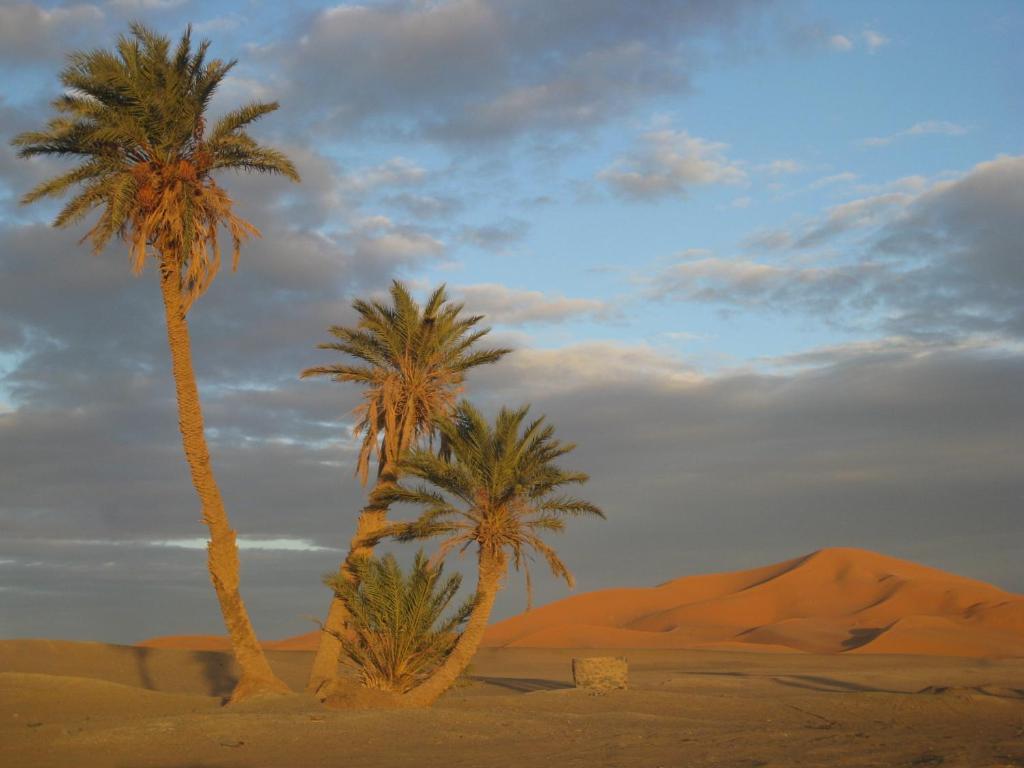 Hotel Riad Aicha & Camel Trekking Merzouga Exteriér fotografie