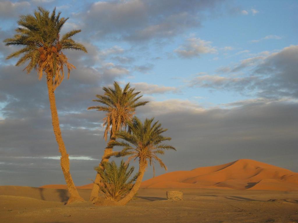 Riad Aicha & Camel Trekking Merzouga Exteriér fotografie